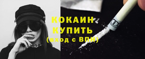 мяу мяу мука Бородино