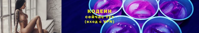 мяу мяу мука Бородино