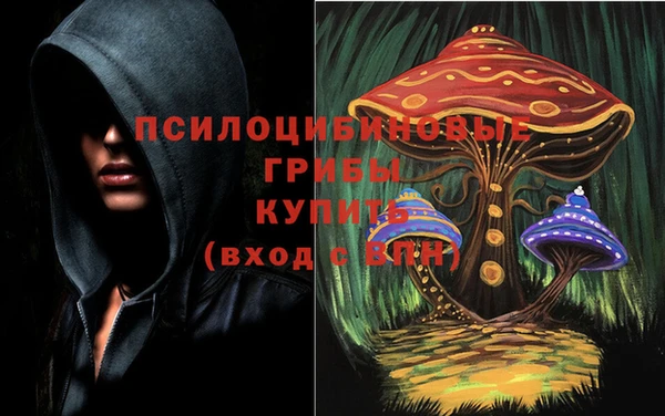 мяу мяу мука Бугульма