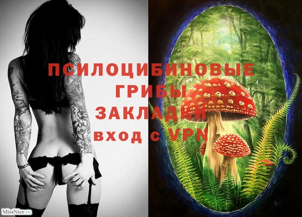 прущая мука Бронницы