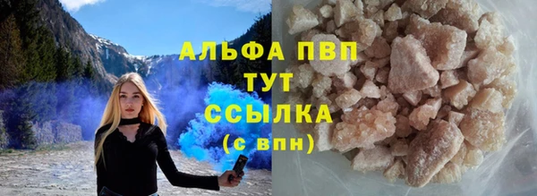 мяу мяу мука Бородино