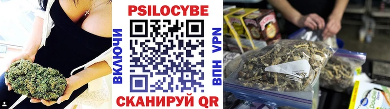 Купить где  Макушино  Псилоцибиновые грибы GOLDEN TEACHER 